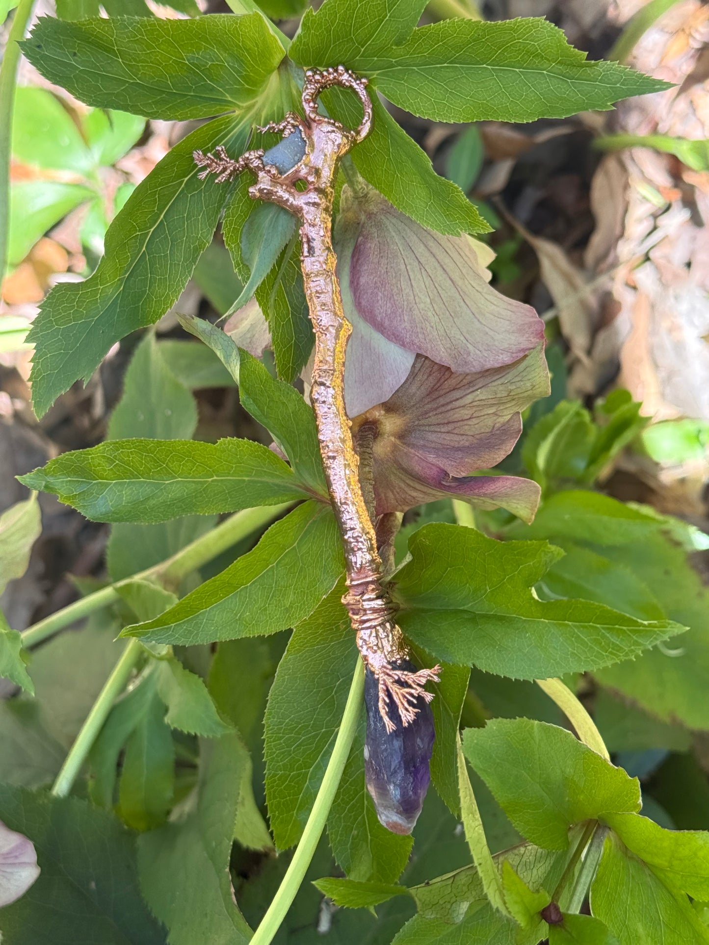 The Broom of the Moonlit Grove
