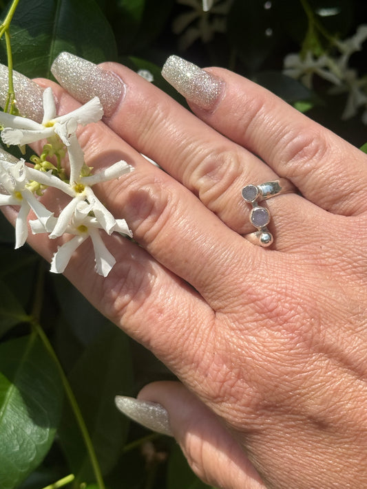 Wild Bloom