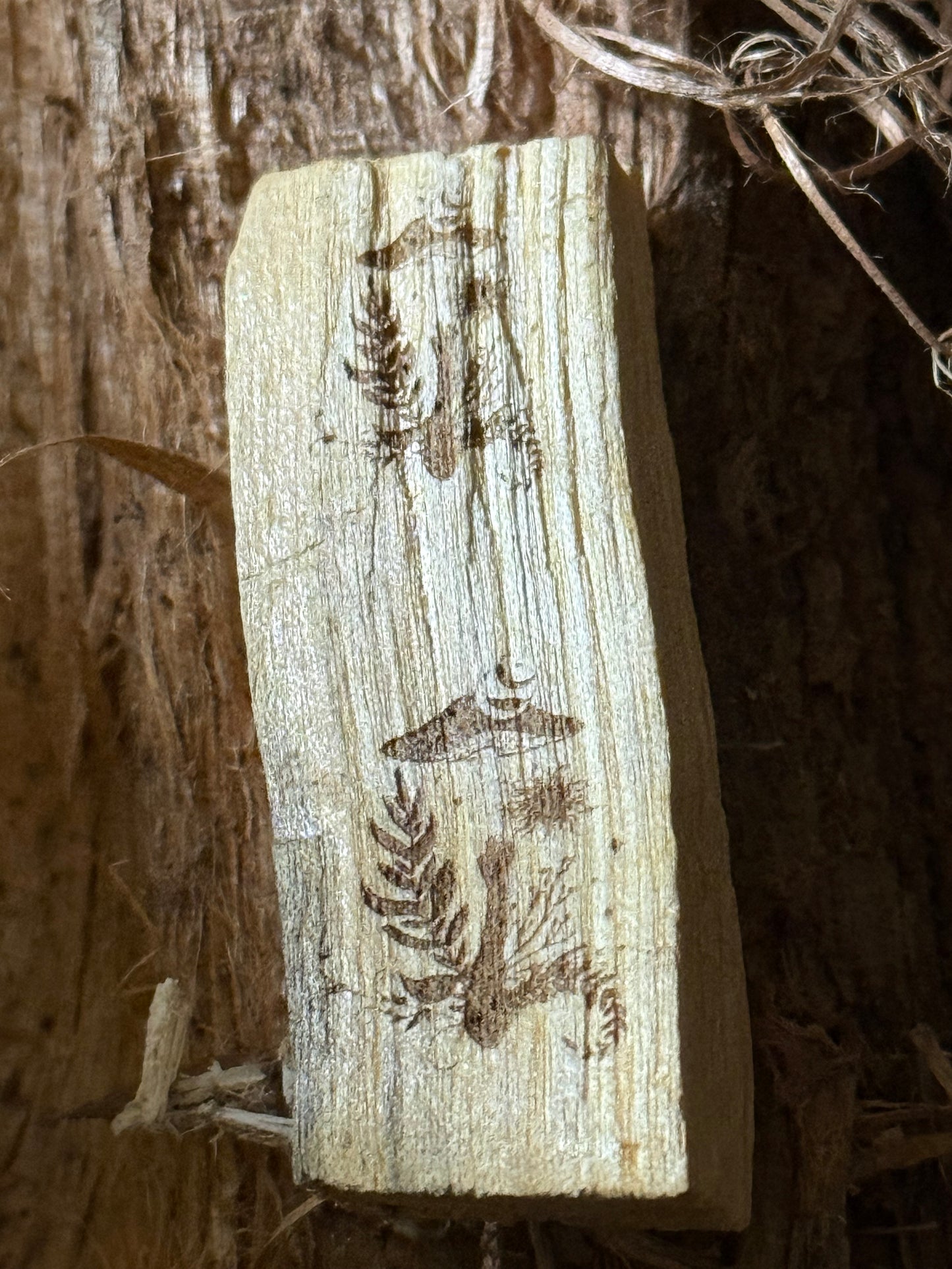 Engraved palo santo