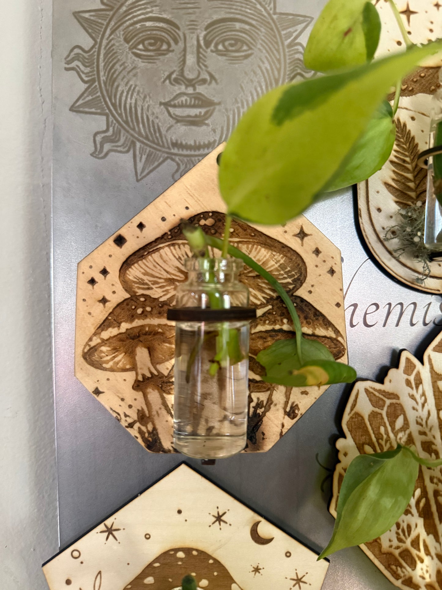 Mini propagation stations