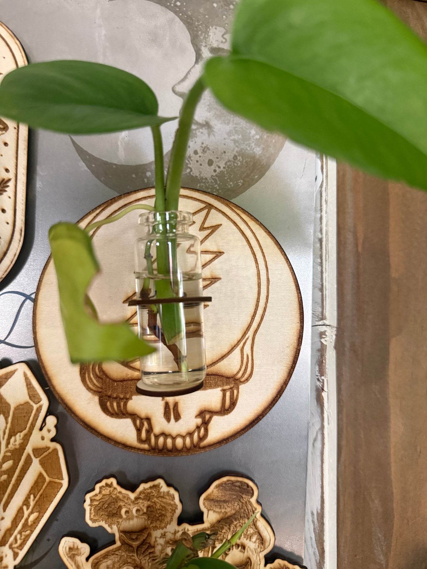 Mini propagation stations