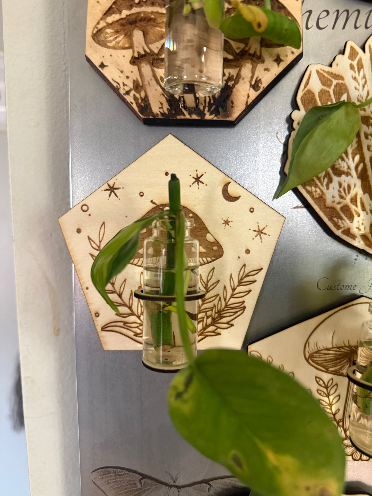 Mini propagation stations